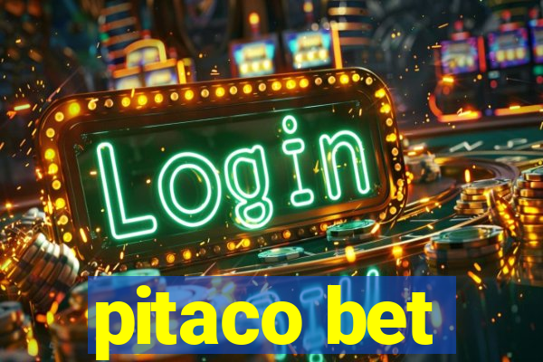 pitaco bet